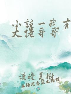 小说一我有七个大佬哥哥