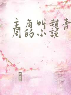 主角叫赵青和老周的小说