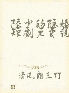 陆少的隐婚罪妻短剧免费观看