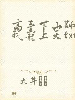 高手下山师姐将我宠上天txt