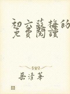 初六苏梅的小说免费阅读