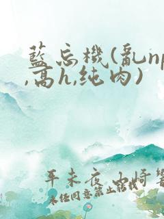 蓝忘机(乱np,高h,纯肉)