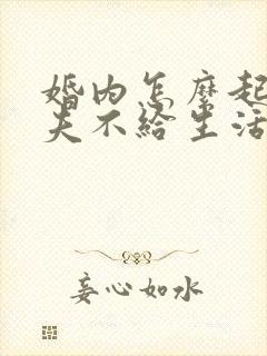 婚内怎么起诉丈夫不给生活费