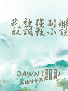 我被强制雌堕肉奴调教小说