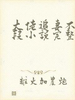 大佬追妻不择手段小说完整版