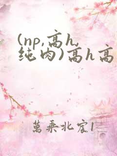 (np,高h,纯肉)高h高辣小说