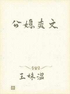 公媳爽文