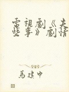 电视剧《夫妻那些事》剧情