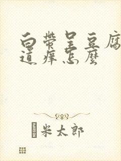 白带呈豆腐渣阴道痒怎么