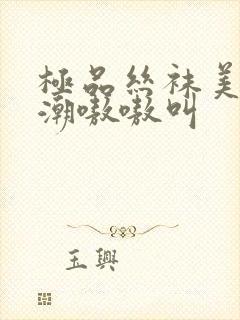 极品丝袜美女高潮嗷嗷叫