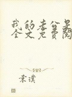 我的老公是大佬全文免费阅读