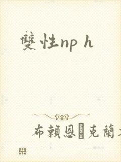 双性np h
