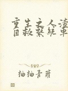 重生之人渣反派自救系统车在第几章