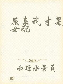 原来我才是恶毒女配