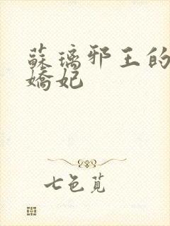 苏璃邪王的盛宠娇妃