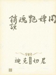 销魂艳婢同类小说