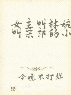 女主叫林婉男主叫宋祁的小说