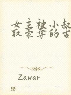 女主被小叔子强取豪夺的古言