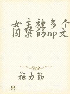 女主被多个男主囚禁的np文