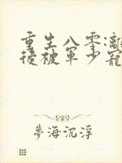 重生八零:离婚后被军少宠上天 无弹窗