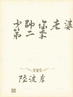 少帅你老婆跑了第二季