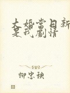 大婚当日新娘不是我剧情