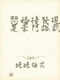 闪婚后发现老公是豪门总裁的全部小说