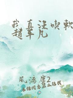 我真没吃软饭 赵平凡