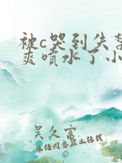 被c哭到失禁好爽喷水了小说