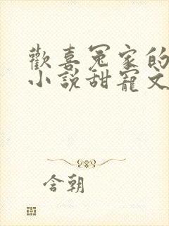 欢喜冤家的古言小说甜宠文