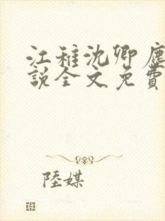 江稚沈卿尘的小说全文免费阅读最新