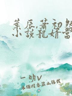 叶辰,萧初然的小说龙婿当道