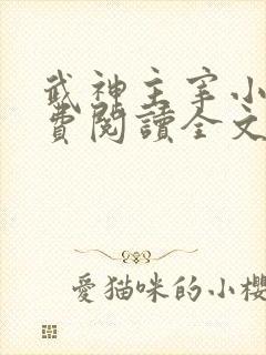 武神主宰小说免费阅读全文无弹窗