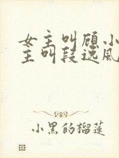 女主叫顾小曼男主叫段逸风的小说