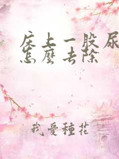 床上一股尿骚味怎么去除