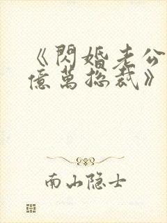 《闪婚老公竟是亿万总裁》小说