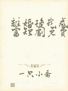 离婚后我成了首富短剧免费观看