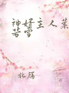 神婿主人叶凡唐若雪