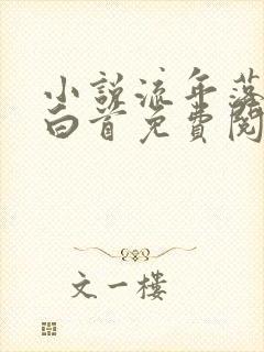 小说流年落尽空白首免费阅读