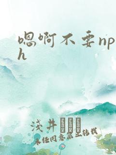 嗯啊不要np高h