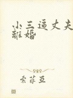 小三逼丈夫和我离婚