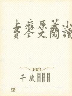 上瘾原著小说免费全文阅读