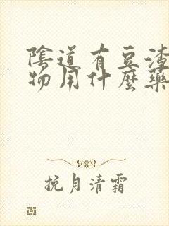 阴道有豆渣分泌物用什么药