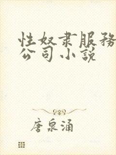 性奴隶服务有限公司小说