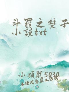 斗罗之双子斗罗小说txt