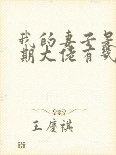 我的妻子是大乘期大佬有几个女主