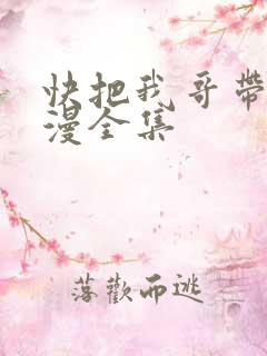 快把我哥带走动漫全集