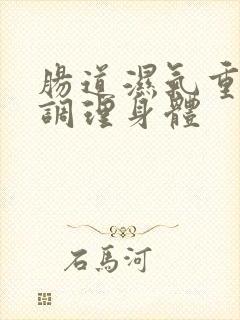 肠道湿气重怎样调理身体