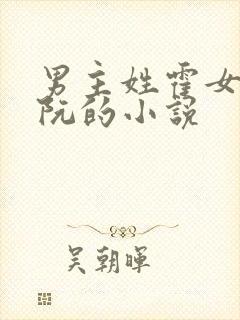 男主姓霍女主姓阮的小说