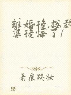 离婚后,总裁老婆后悔了/